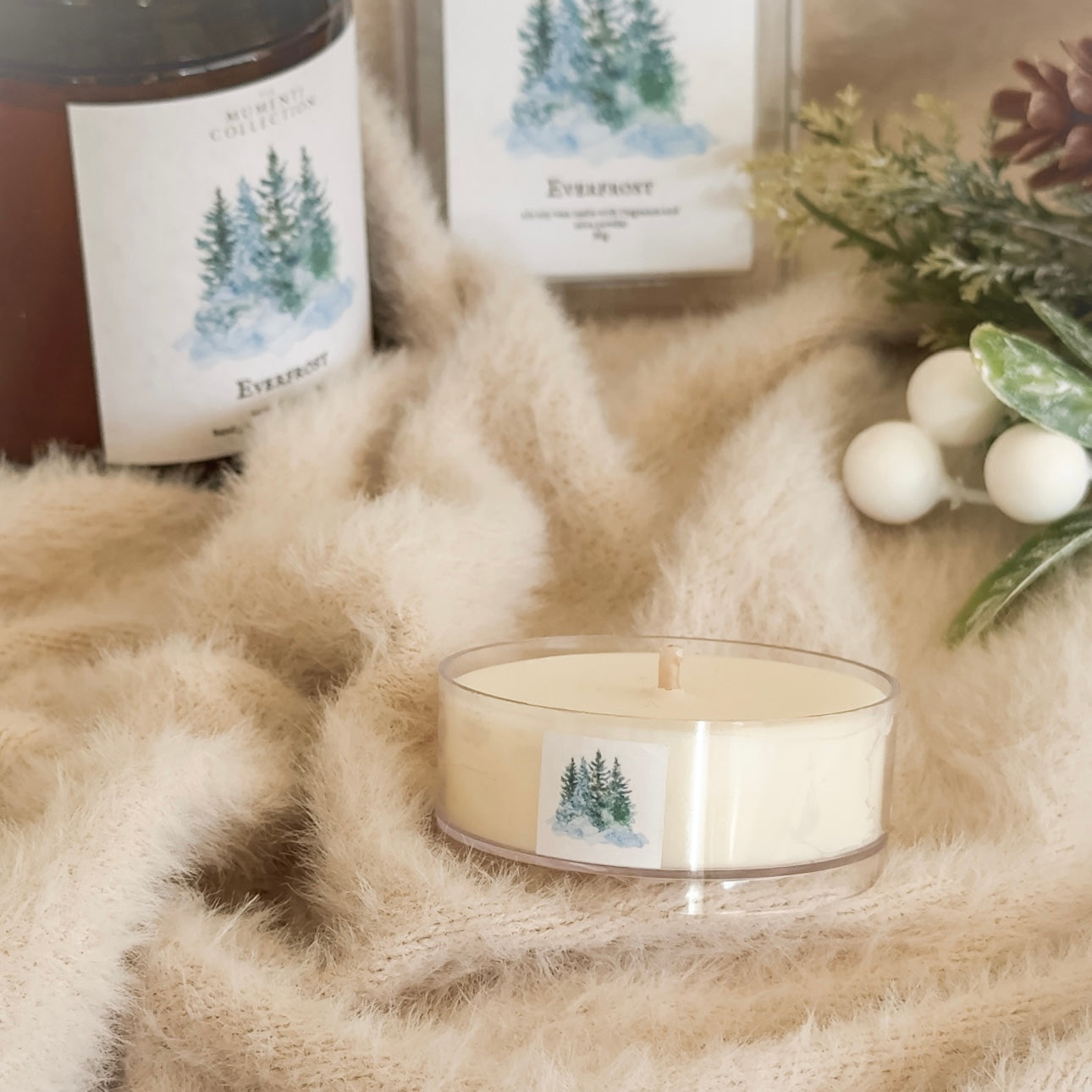 Winter Discovery Set
